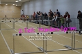 6415 halle_ob